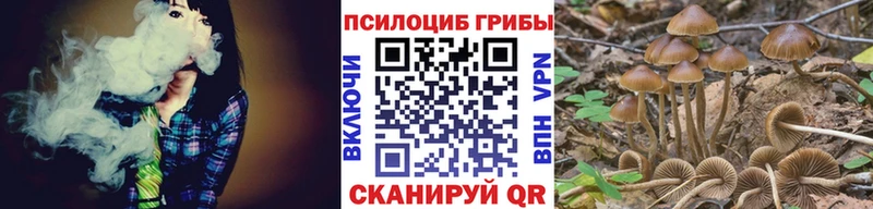 OMG ССЫЛКА  Михайлов  Галлюциногенные грибы ЛСД 